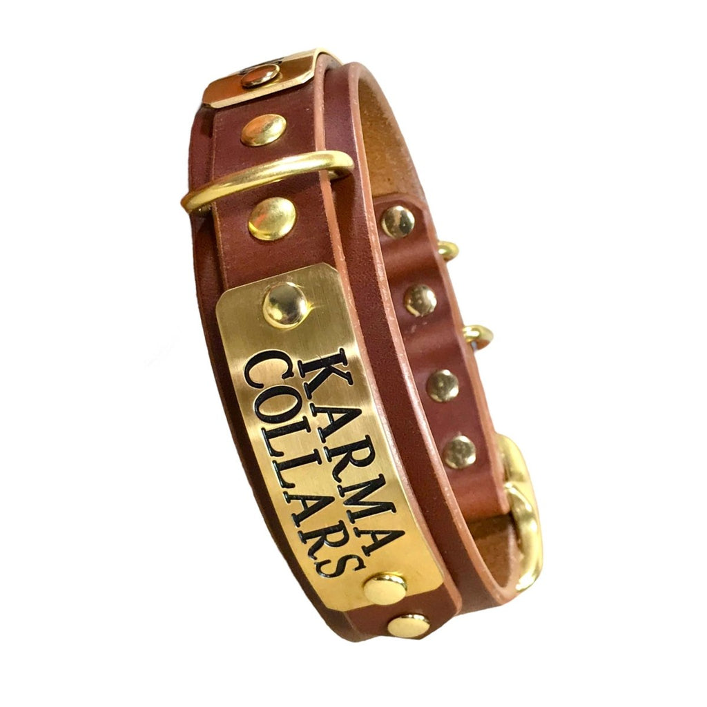 ENGRAVED LEATHER DOG COLLAR 2 PLATES