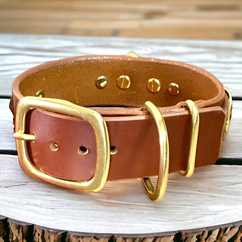 ENGRAVED LEATHER DOG COLLAR 2 PLATES