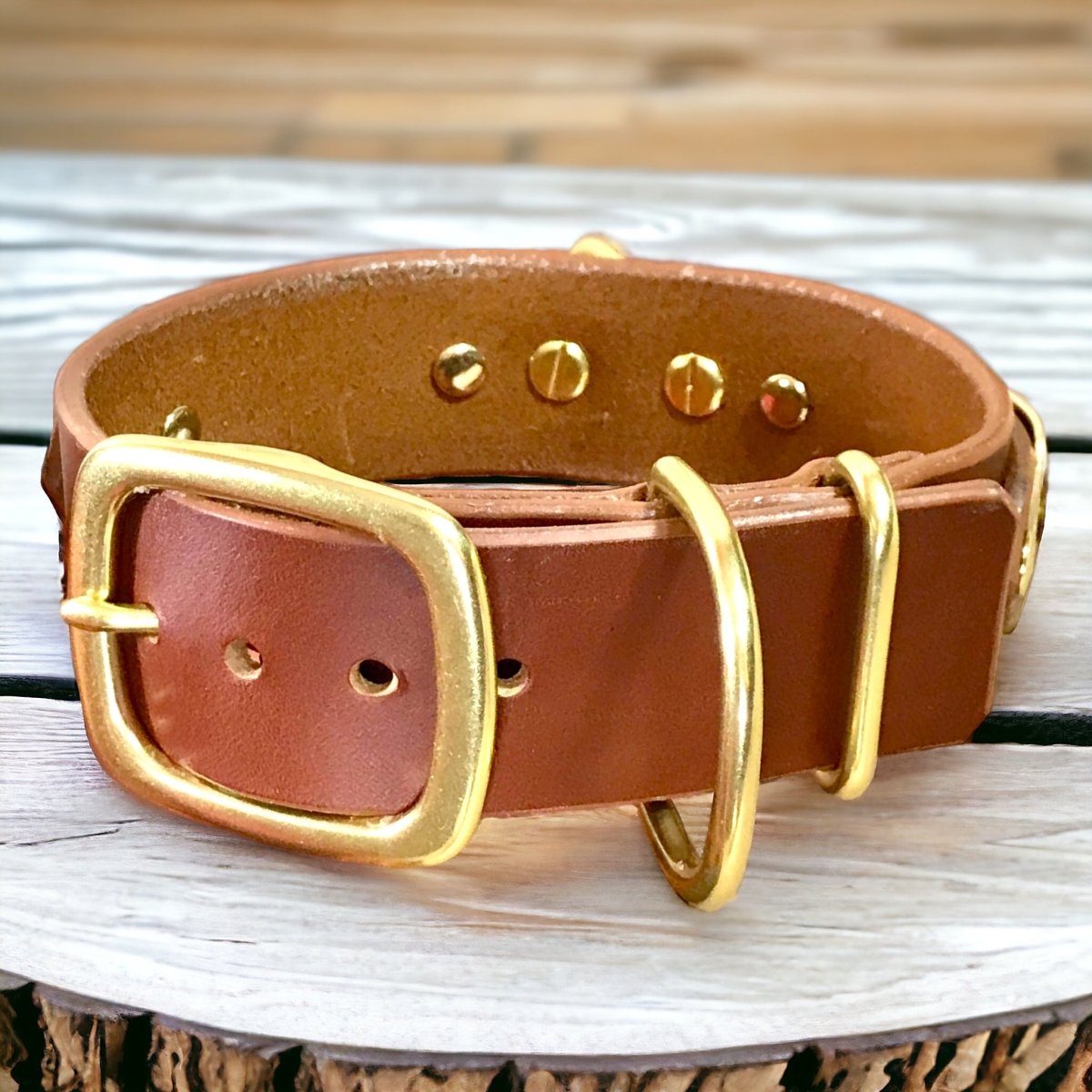 ENGRAVED LEATHER DOG COLLAR 2 PLATES