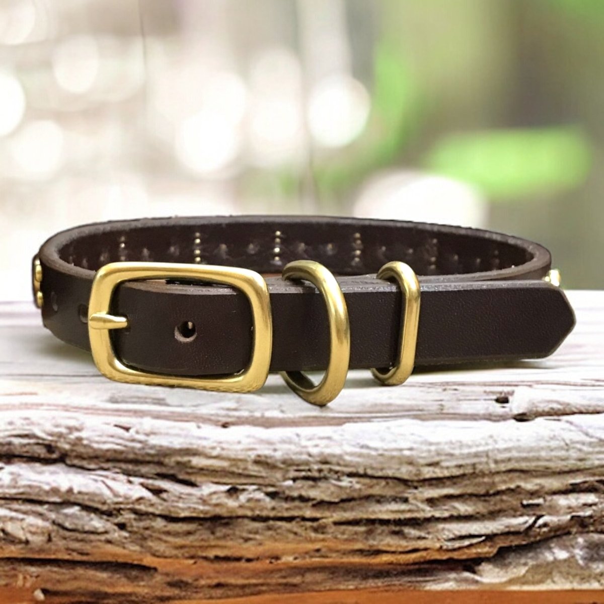 Leather Dog Collar Zion