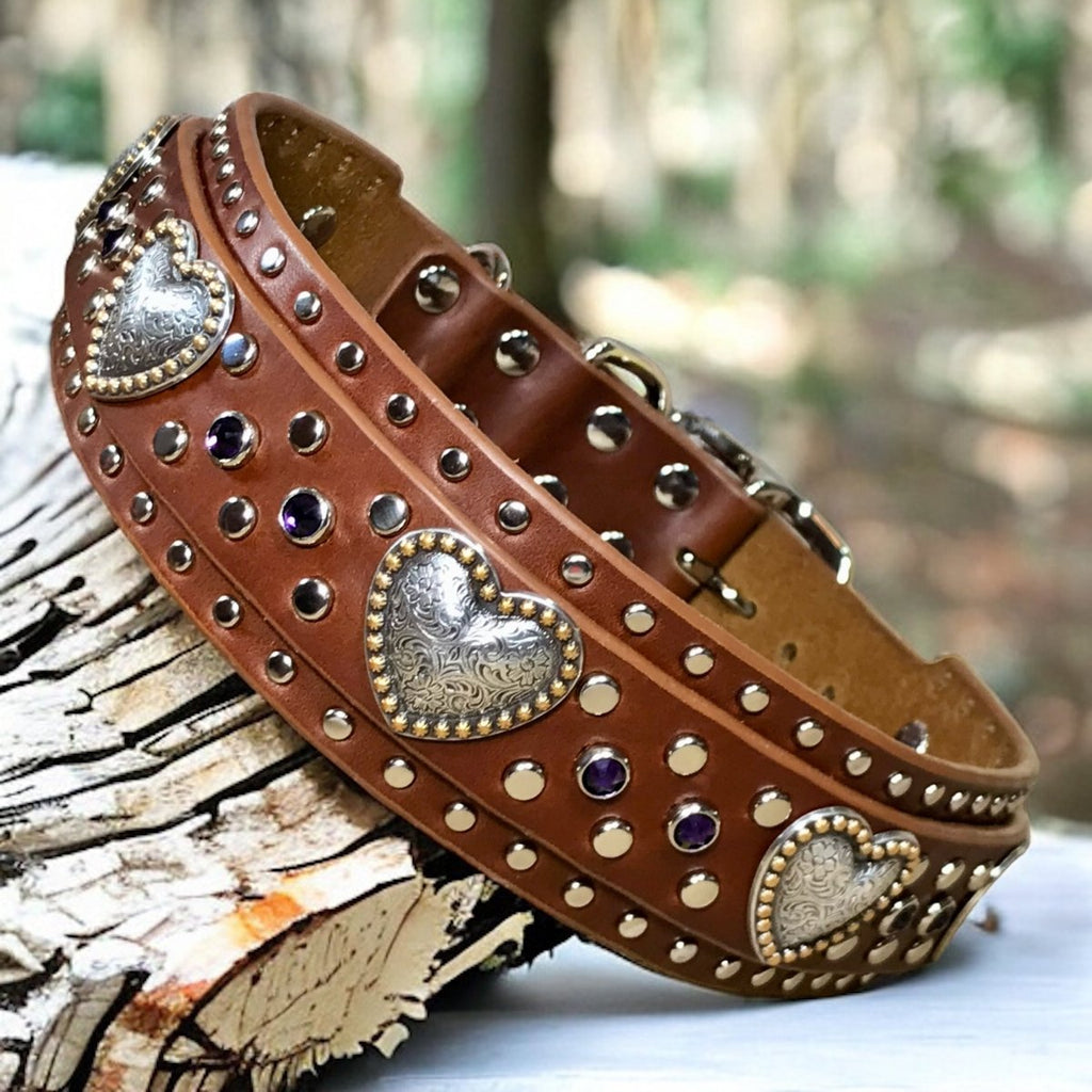 Custom Leather Dog Collar Humboldt