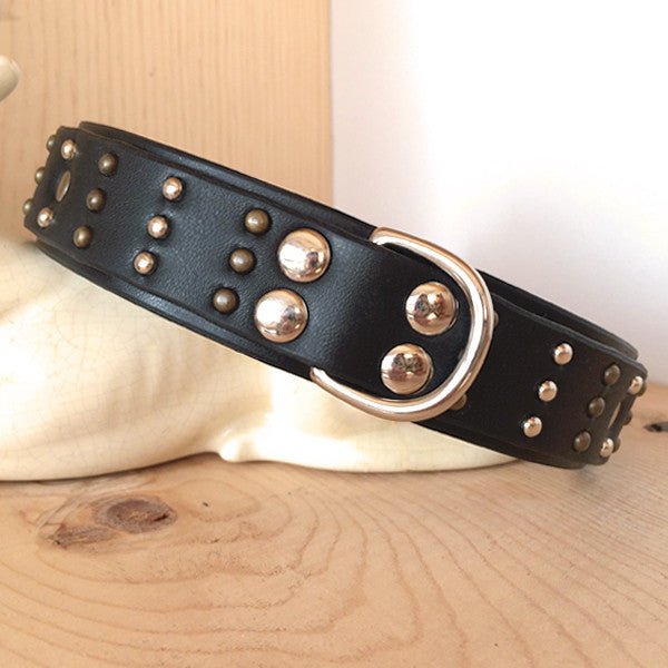 Century Leather Dog Collar
