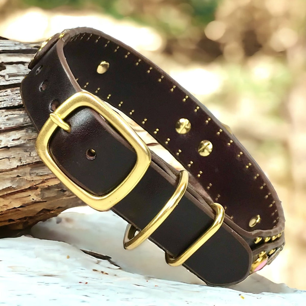 Custom Leather Dog Collar Humboldt