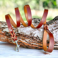 Traditional Leather Dog Leash