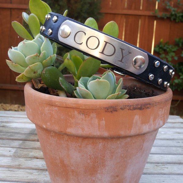 Native Leather Dog Collar