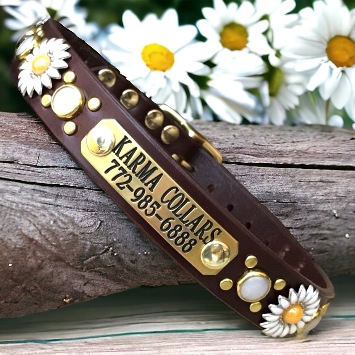 Personalized Leather Dog Collar Yessena