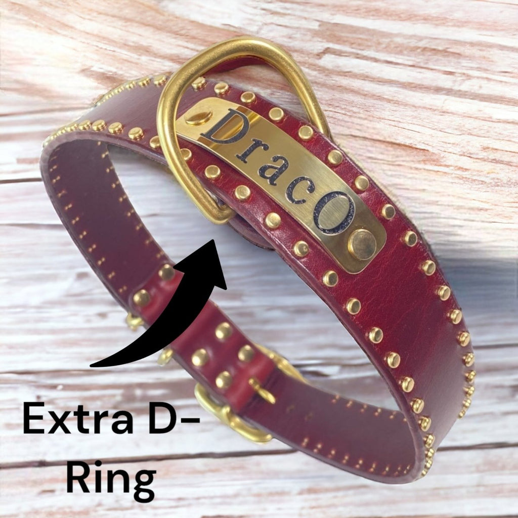 Extra D-Ring