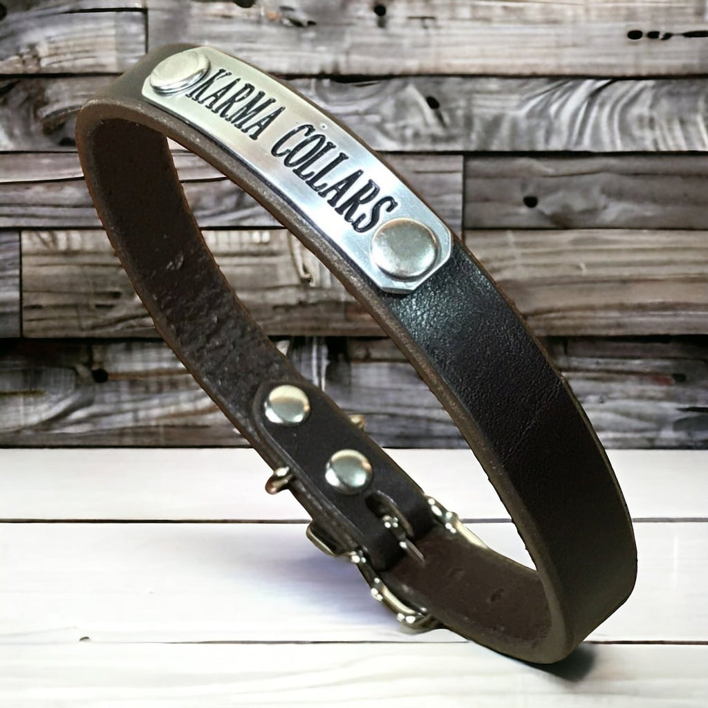 5/8" Wide Basic Leather Dog Collar with Nameplate