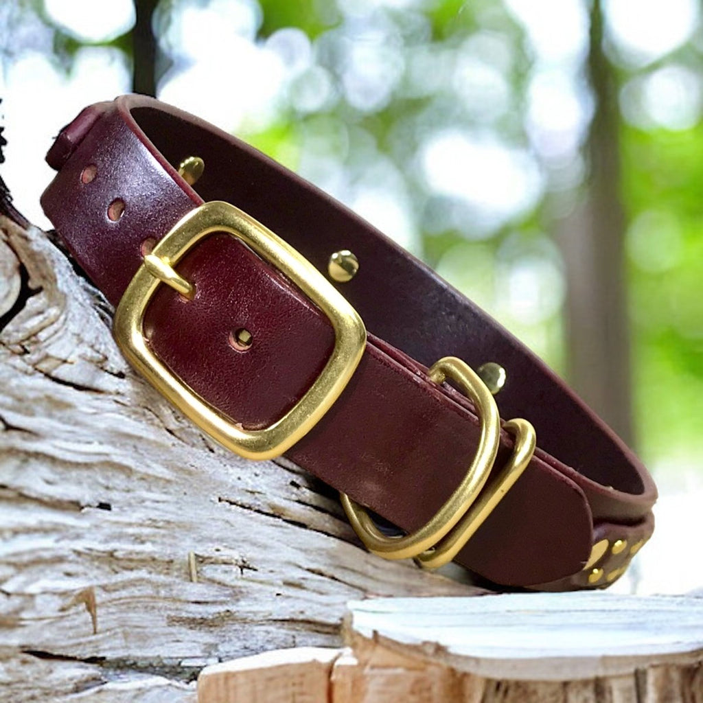 Hamptons Leather Dog Collar