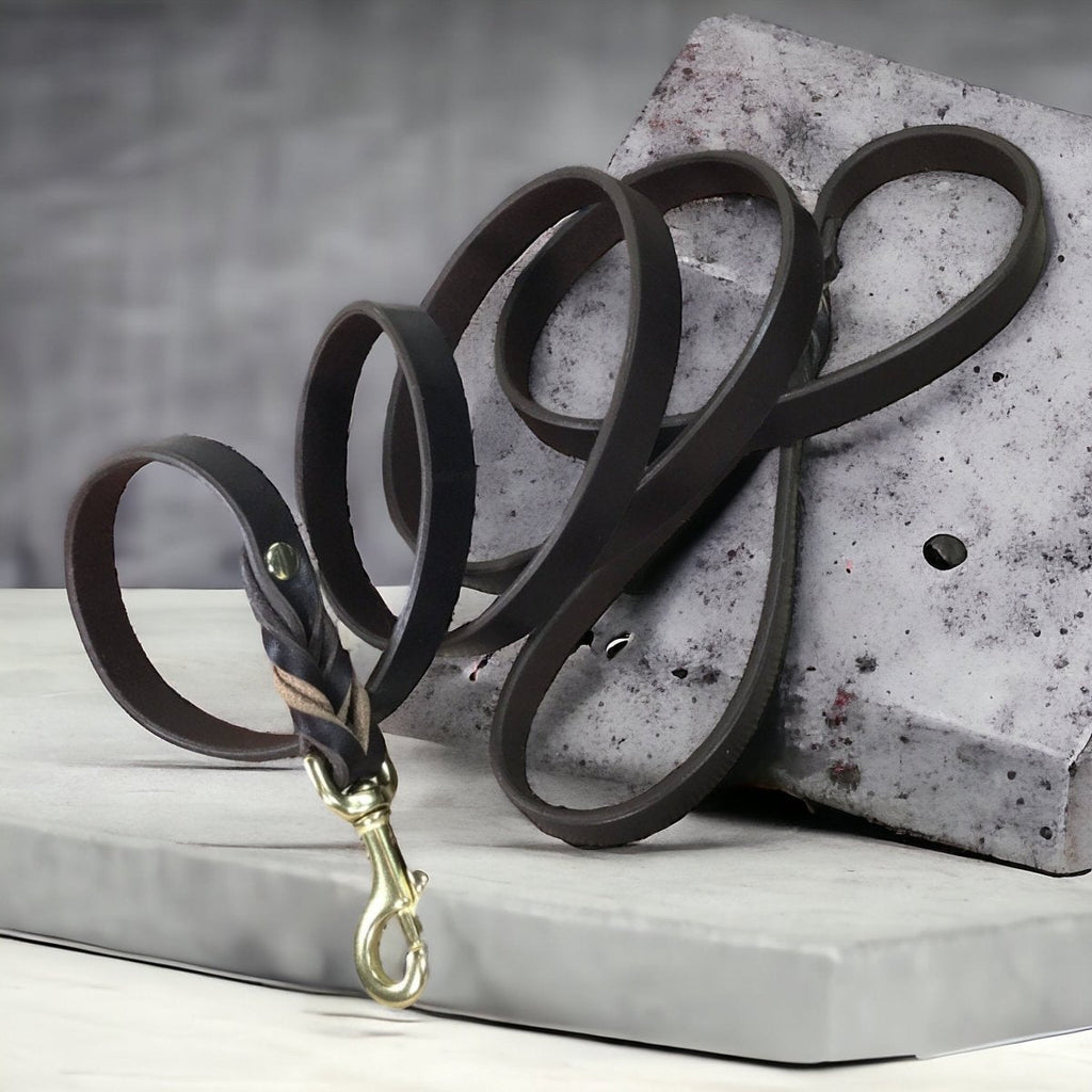 Traditional Leather Dog Leash
