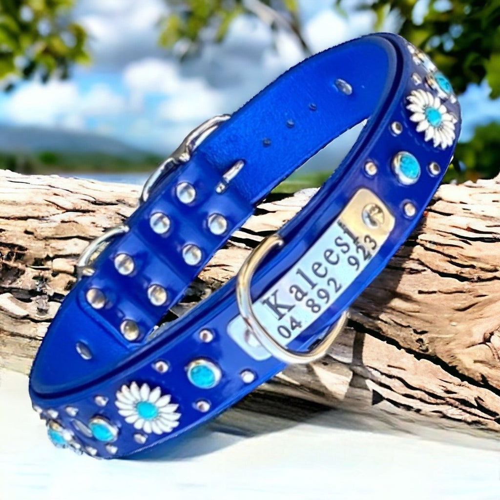 Blue Dog Collar Kalina