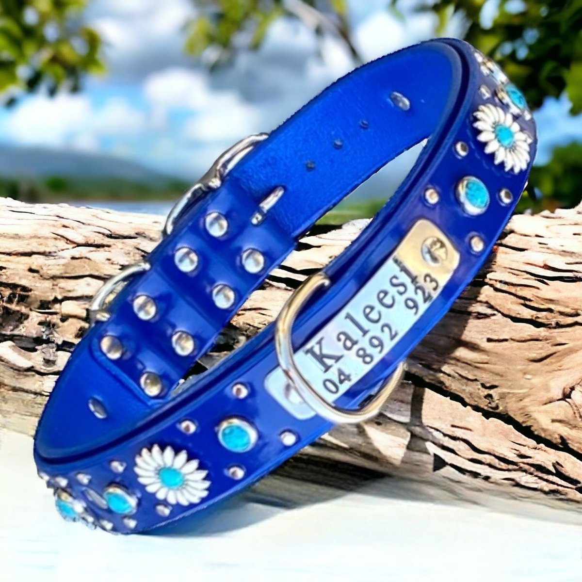 Blue Dog Collar Kalina
