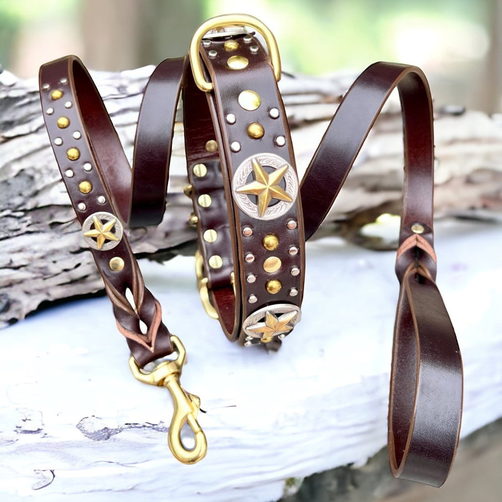 Matching Leather Dog Leash Nashville