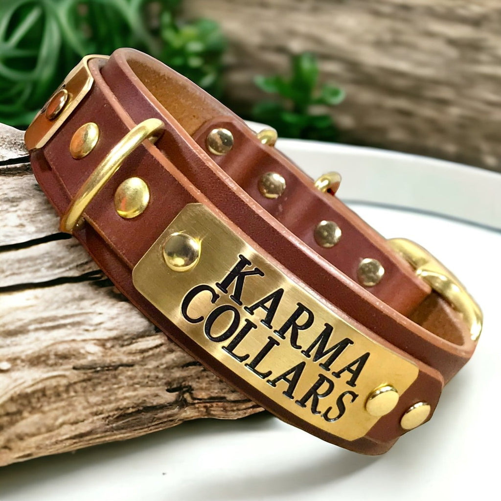 ENGRAVED LEATHER DOG COLLAR 2 PLATES