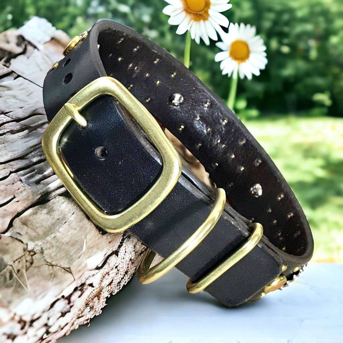 Kalina Leather Dog Collar SL