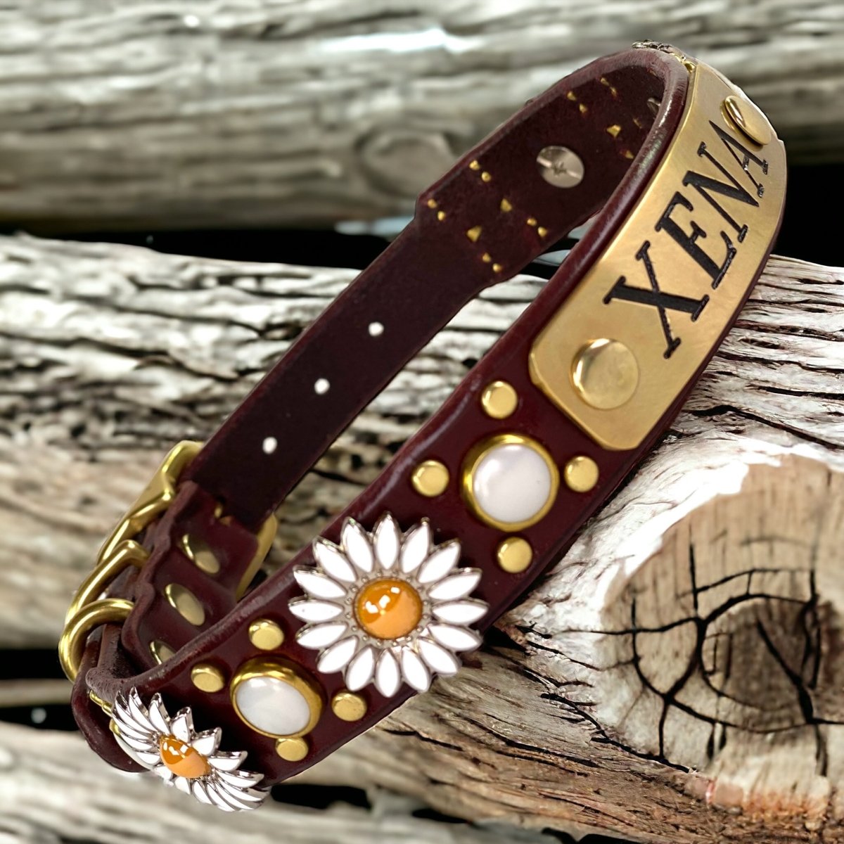 Yessena Nameplate Leather Dog Collar