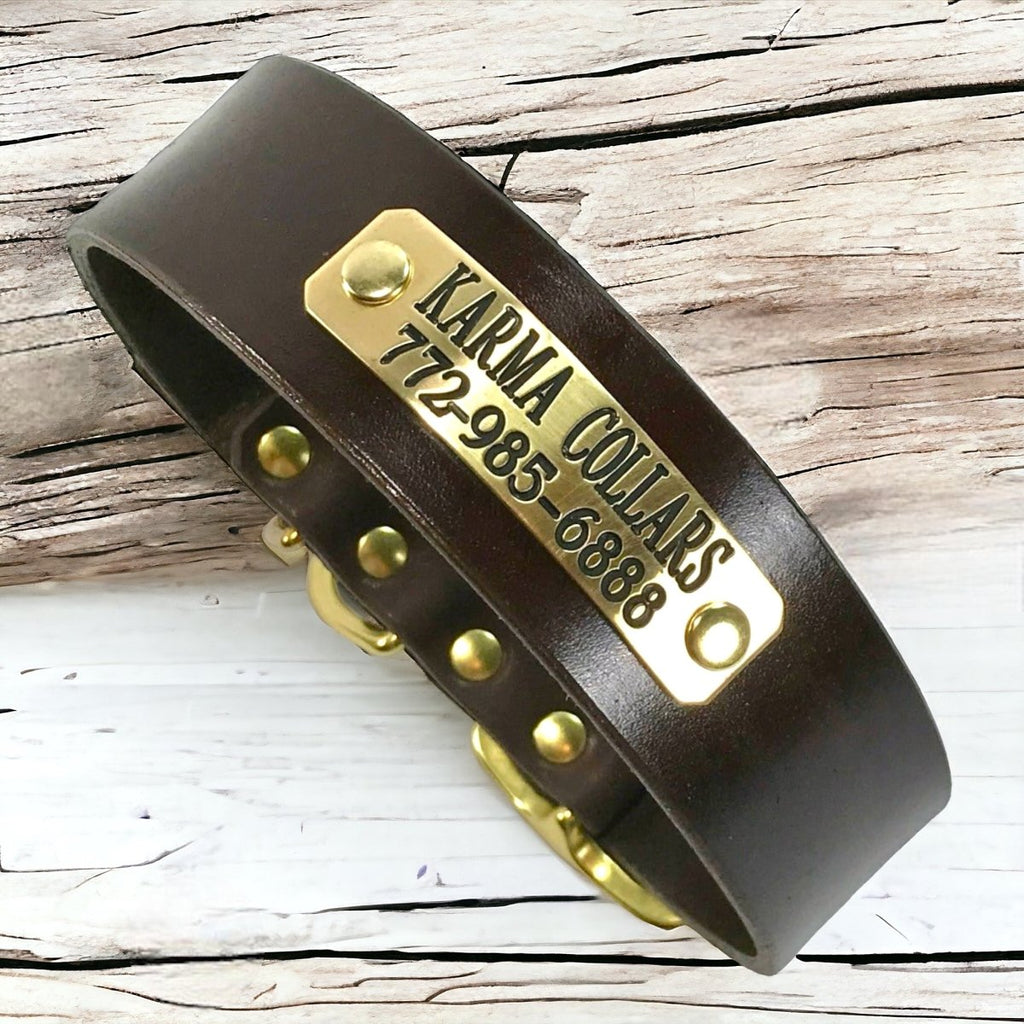 1.5" Wide Basic Leather Dog Collar with Nameplate