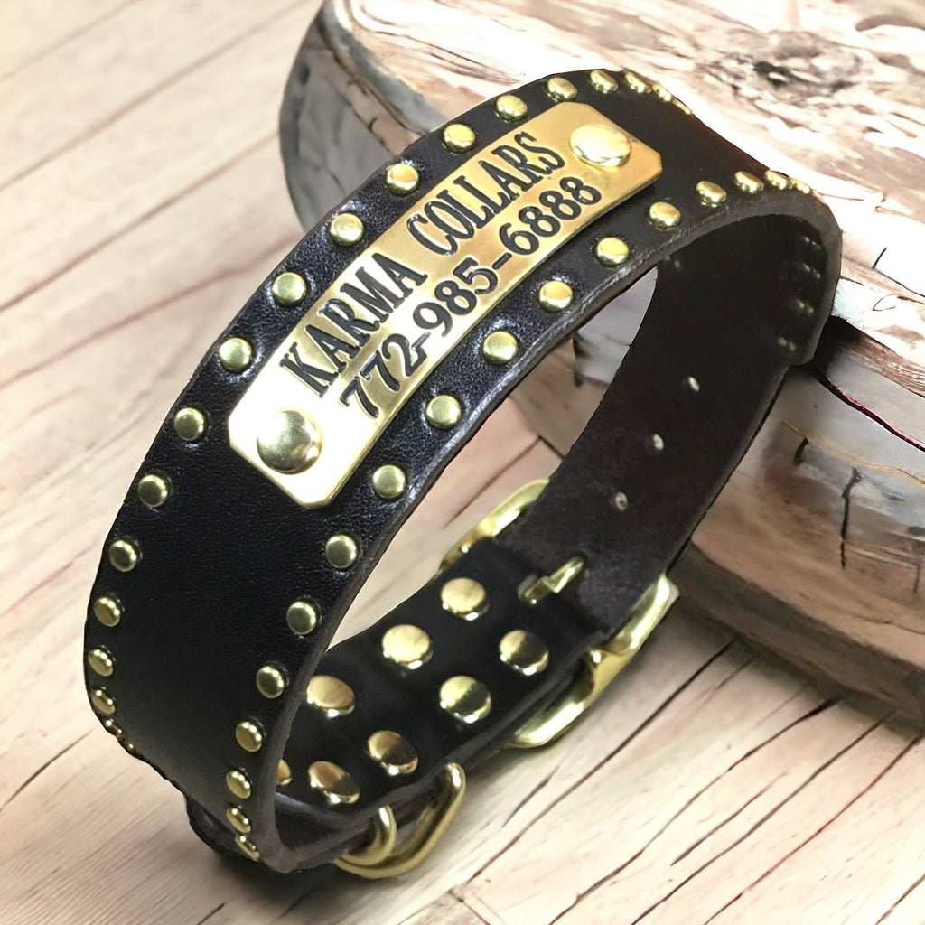 1.5" Wide Studded Leather Dog Collar with Nameplate