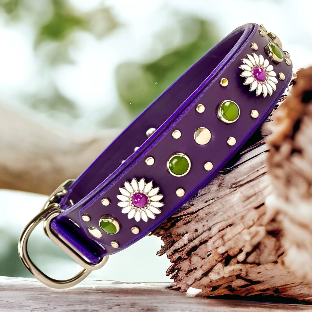 Purple Dog Collar Kalina
