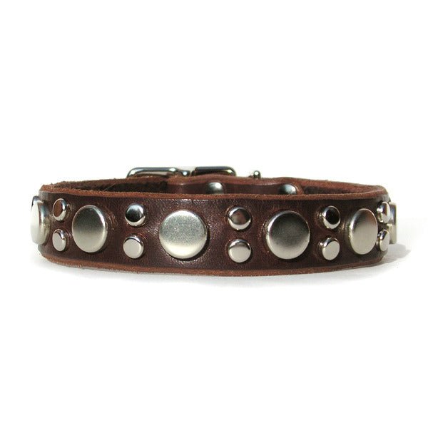 Brixton Leather Dog Collar