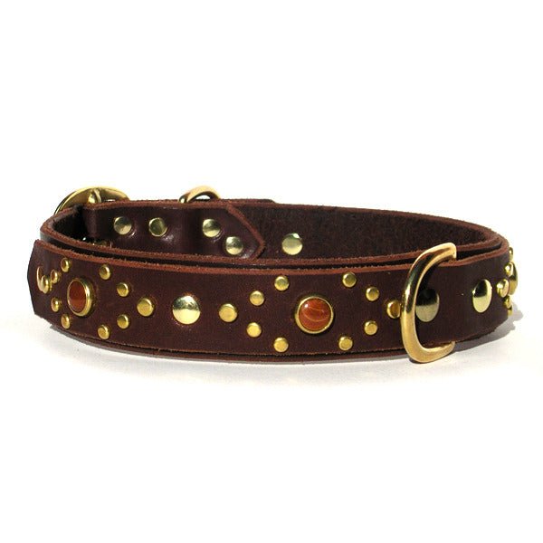 Phoenix Leather Dog Collar