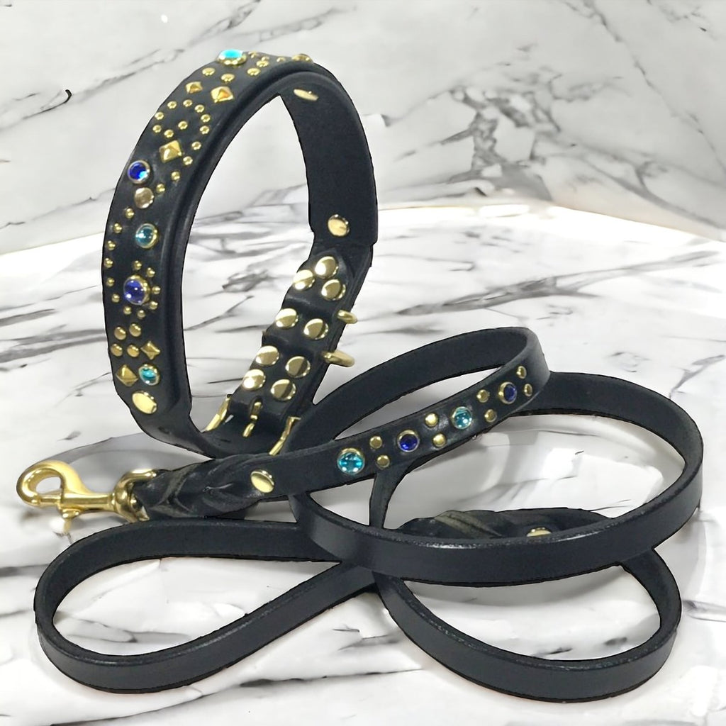 Stargazer Matching Leashes