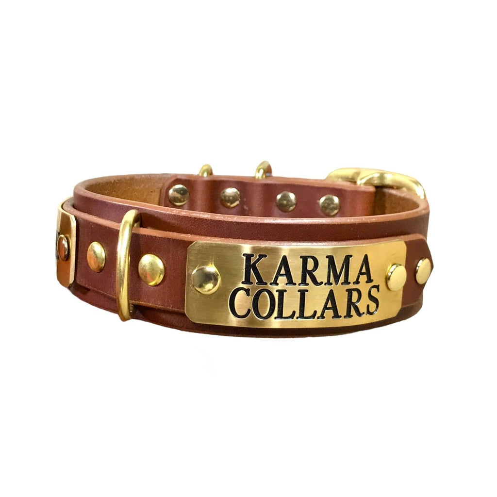 ENGRAVED LEATHER DOG COLLAR 2 PLATES