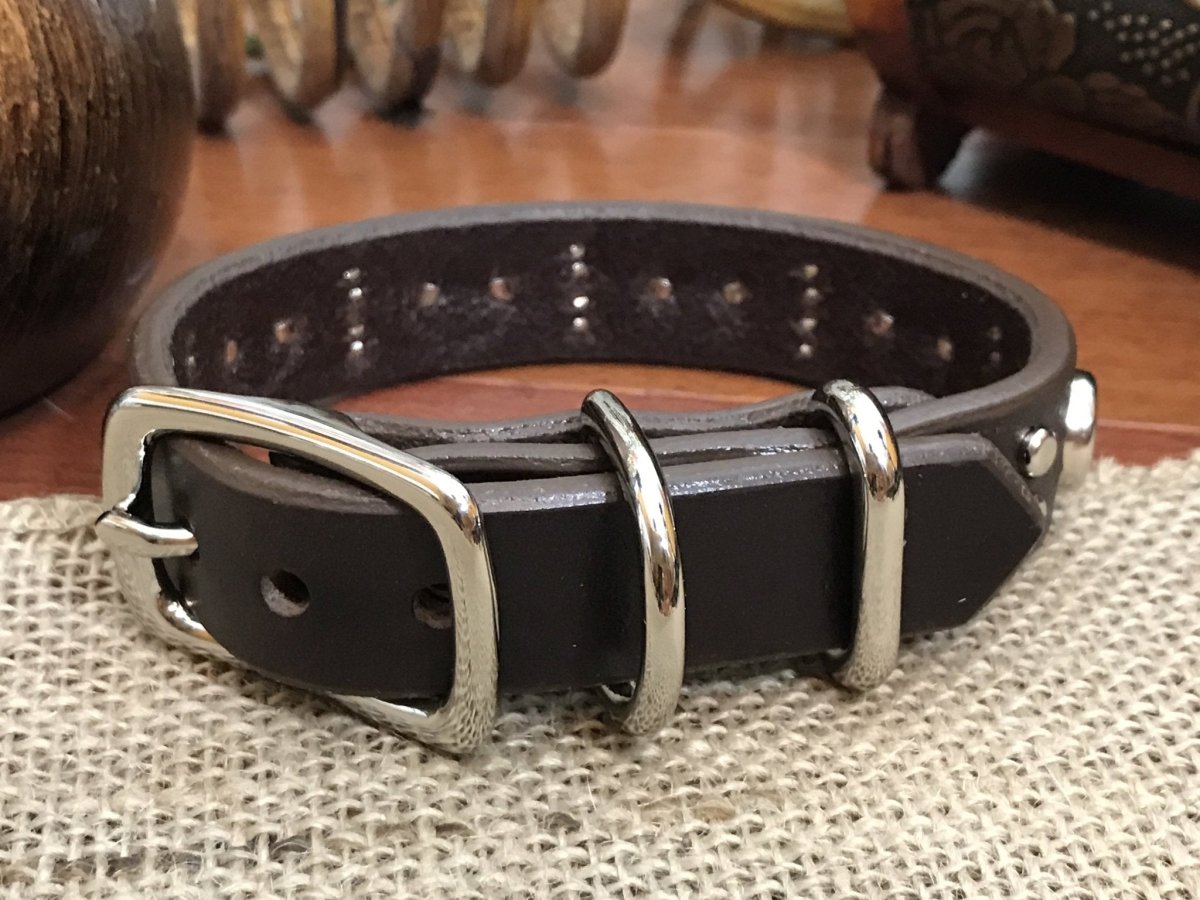 Brixton Leather Dog Collar