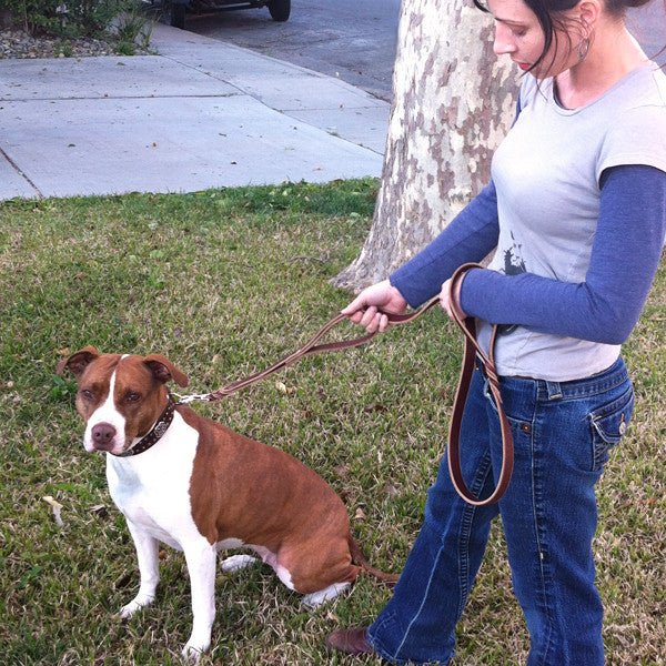 Double Handle Leather Leash