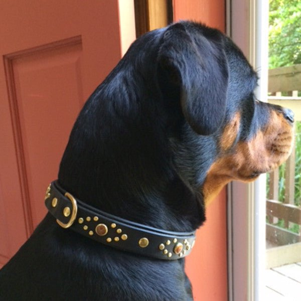 Phoenix Leather Dog Collar