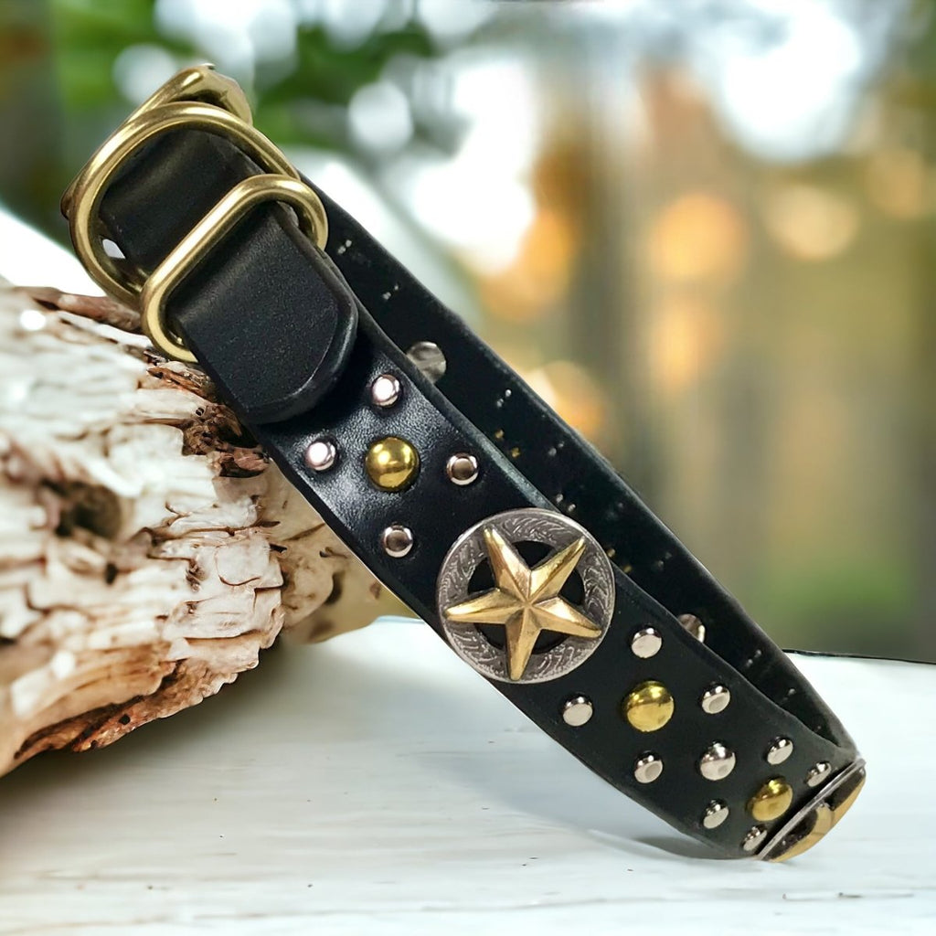 WESTERN Dog Collar Nashville 1"