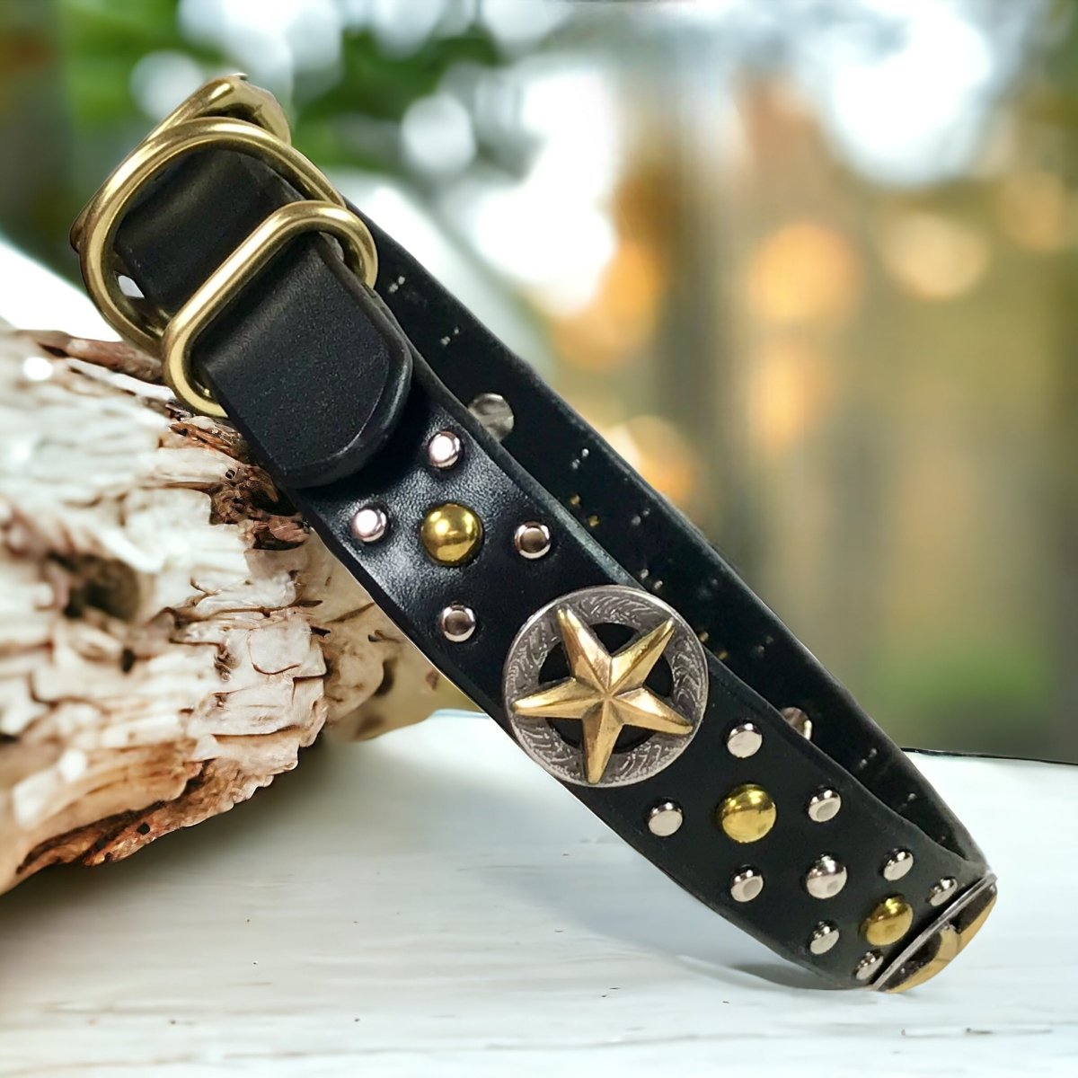 WESTERN Dog Collar Nashville 1"