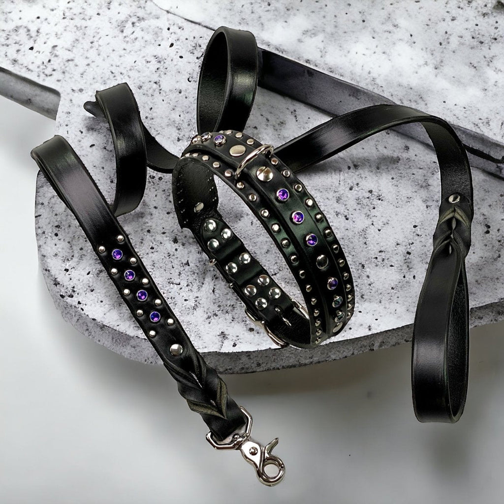 Matching Leather Dog Leash