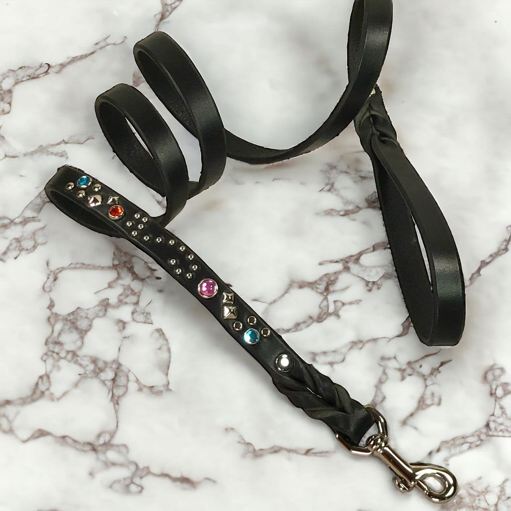 Stargazer Matching Leashes