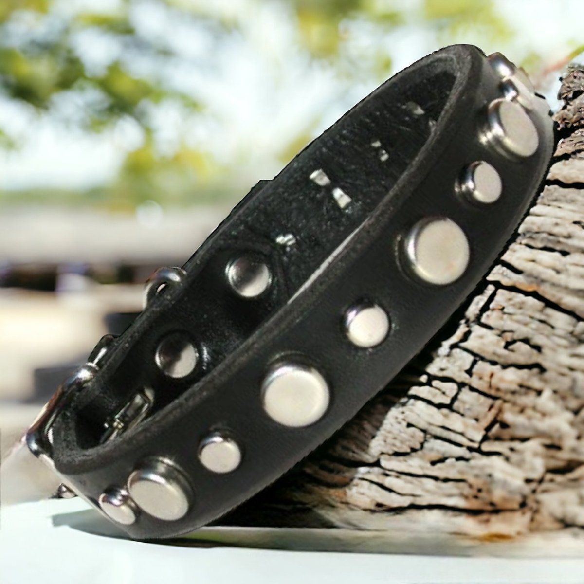 Mission Leather Dog Collar