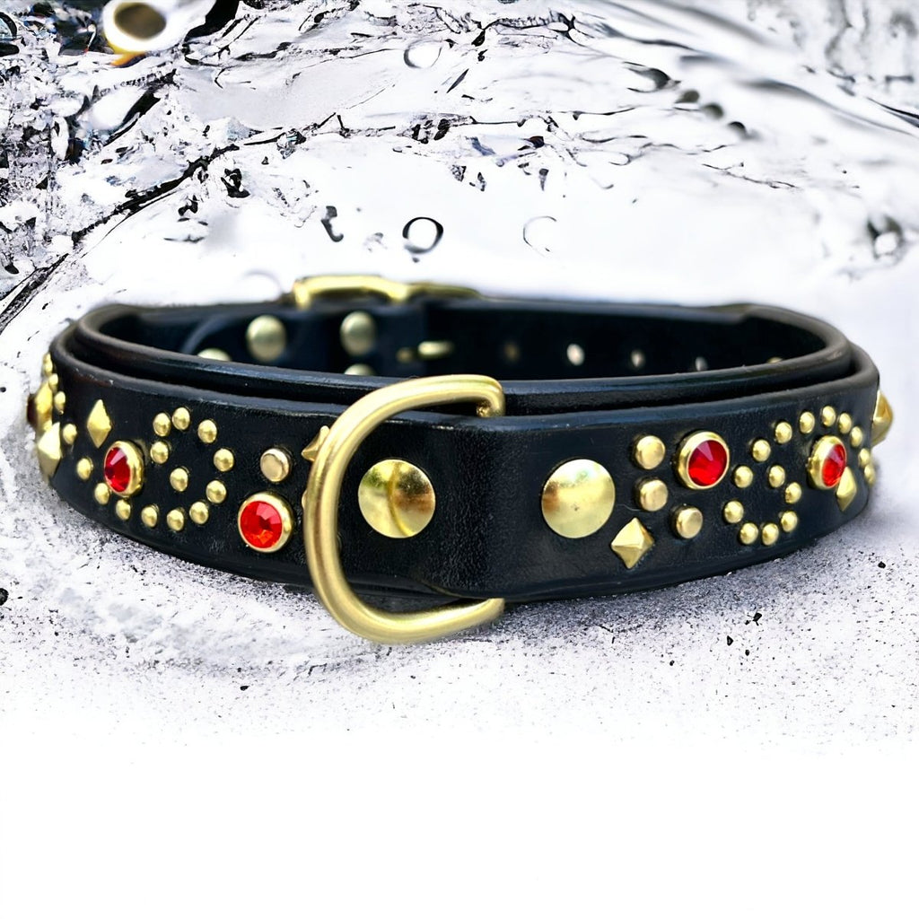 Stargazer Double Layer Dog Collar