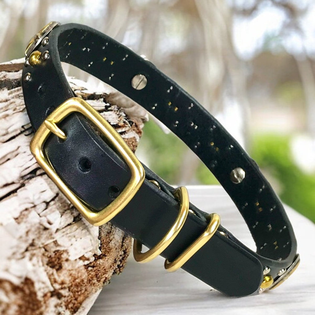 WESTERN Dog Collar Nashville 1"