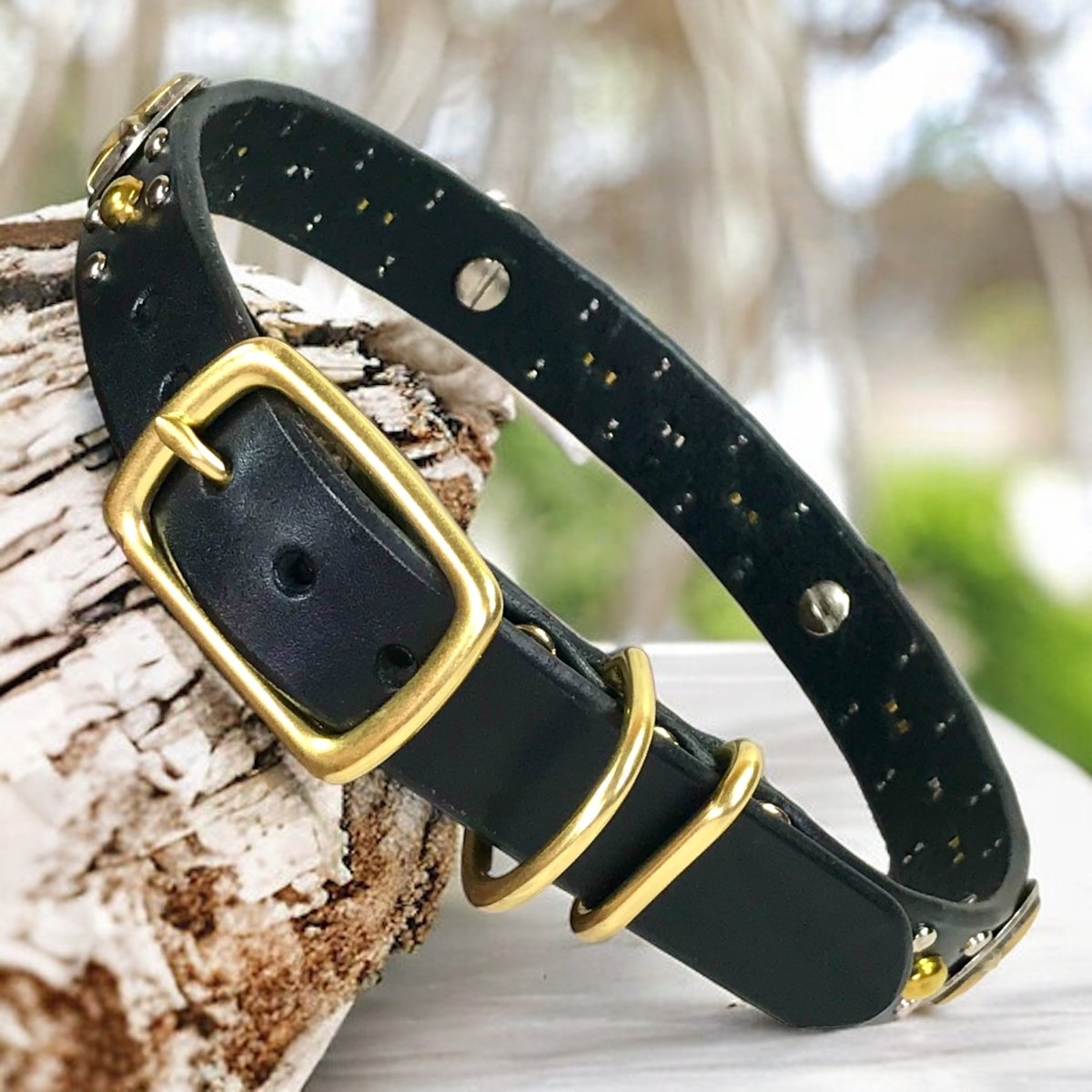 WESTERN Dog Collar Nashville 1"