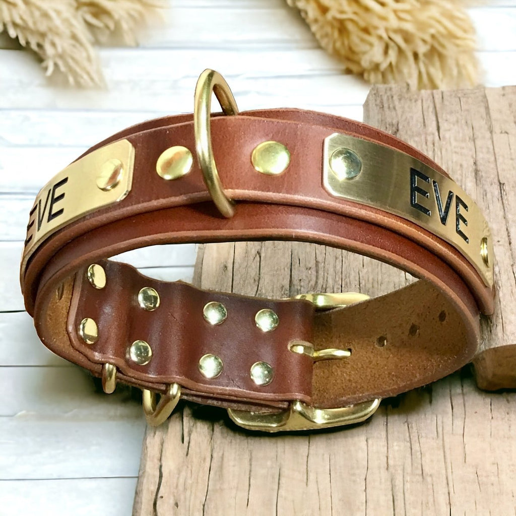 ENGRAVED LEATHER DOG COLLAR 2 PLATES