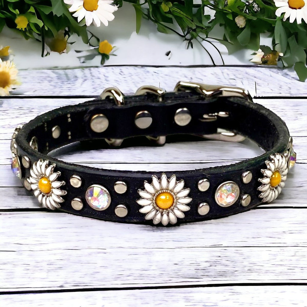 Leather Dog Collar Little Blossom