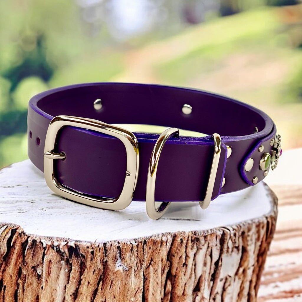 Purple Dog Collar Kalina