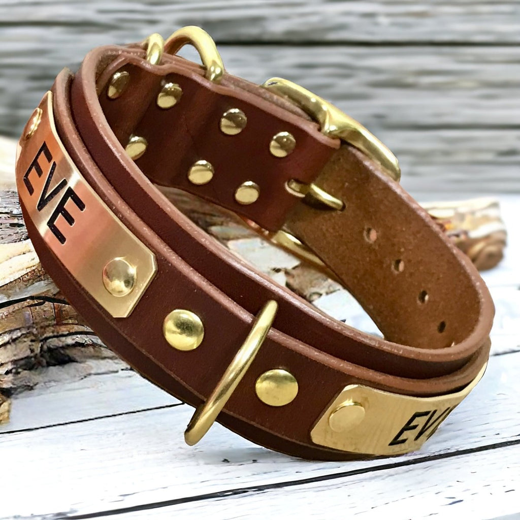 ENGRAVED LEATHER DOG COLLAR 2 PLATES