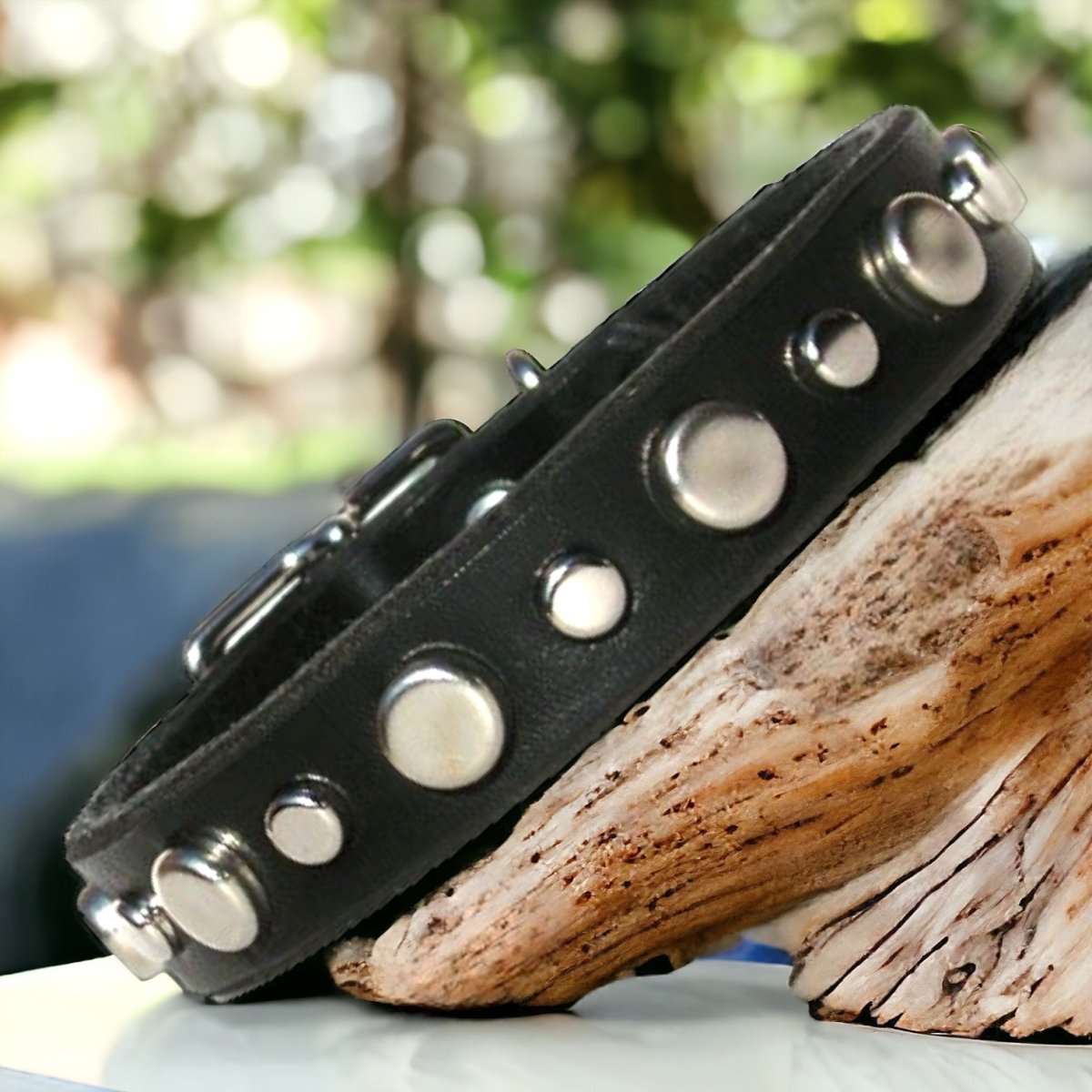 Mission Leather Dog Collar