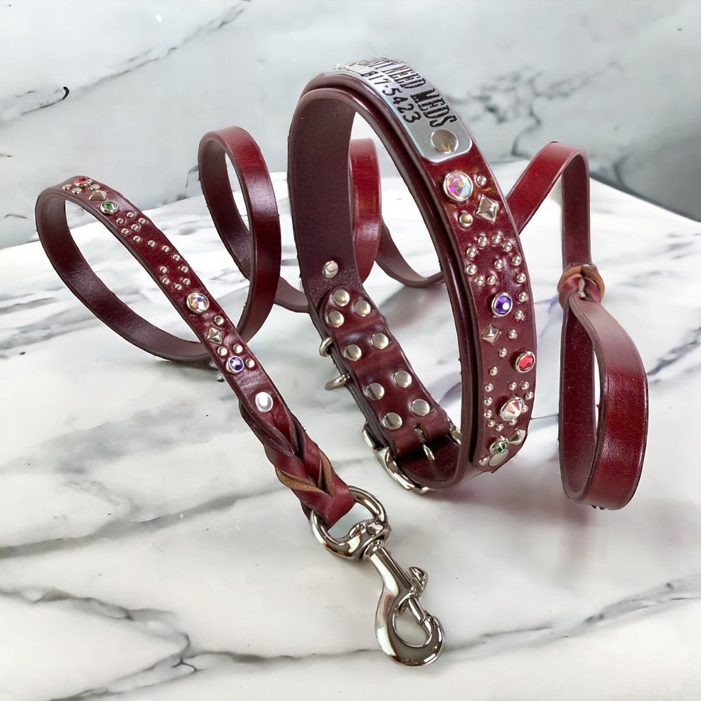 Stargazer Matching Leashes