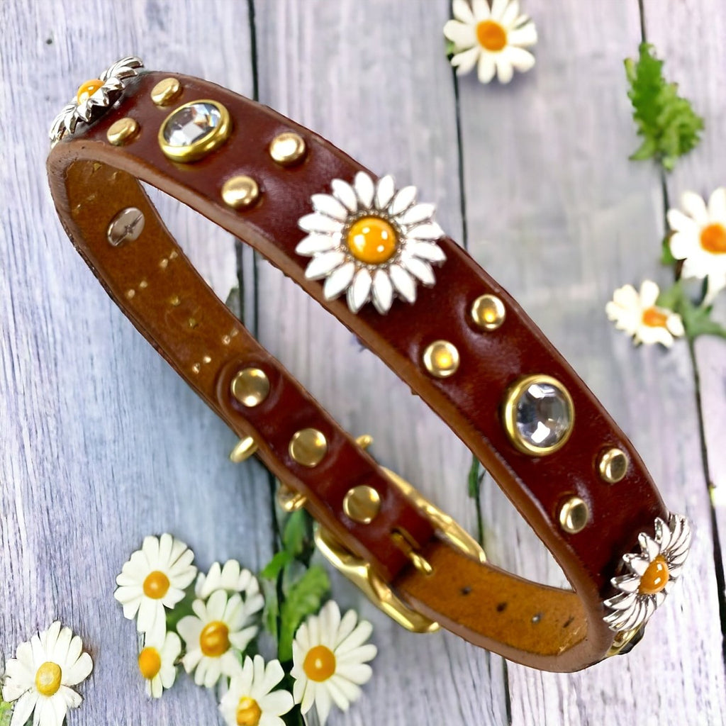 Designer Leather Dog Collar Yessena