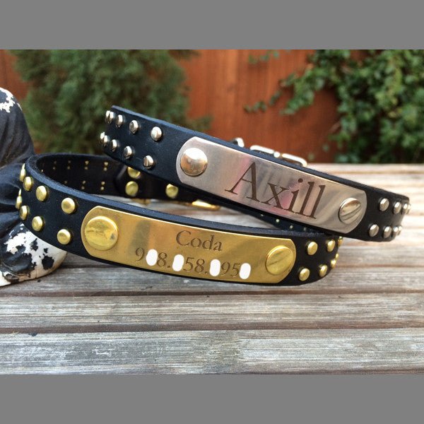 Native Leather Dog Collar