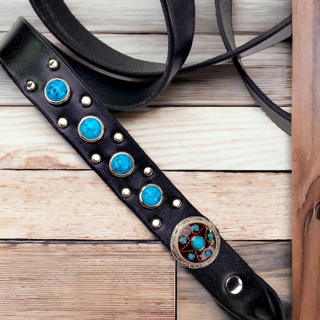 Matching Leather Dog Leash Cassidy