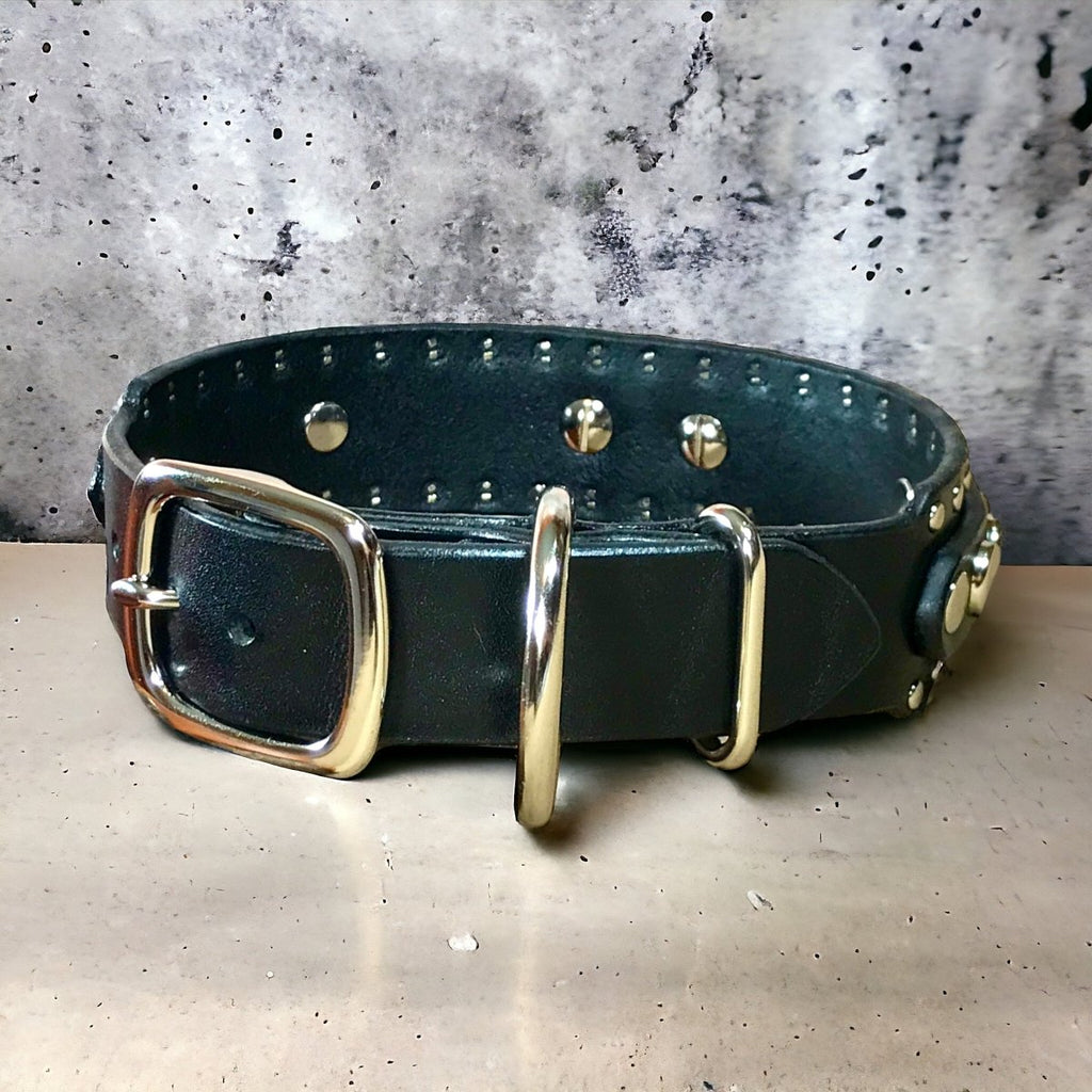 1.5" Havana Leather Dog Collar