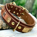 ENGRAVED LEATHER DOG COLLAR 2 PLATES