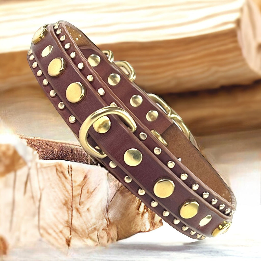 1.25" Havana Leather Dog Collar